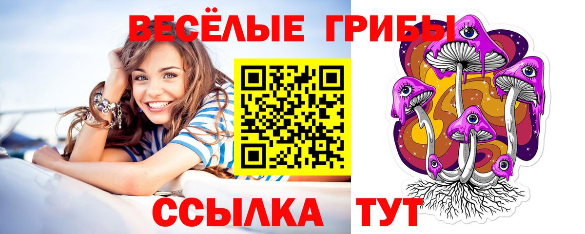 Кокаин  Канабис  Мефедрон   Кунгур  Вход с VPN  Гашиш  ГАШ 