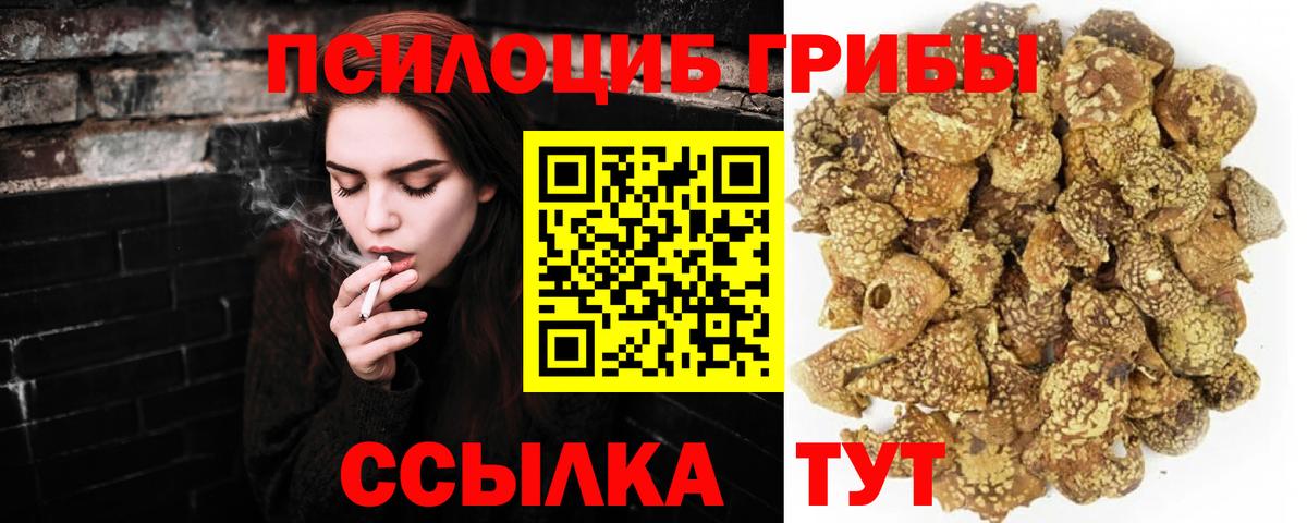 Галлюциногенные грибы мухоморы  Вход с VPN  как найти закладки  Кунгур  Галлюциногенные грибы мицелий 